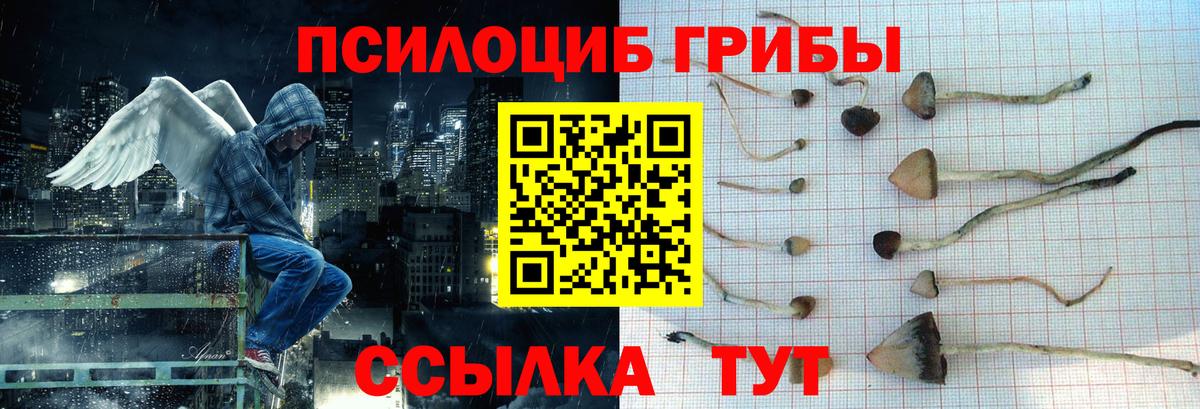 Первоуральск  Псилоцибиновые грибы Cubensis  Вход с VPN 